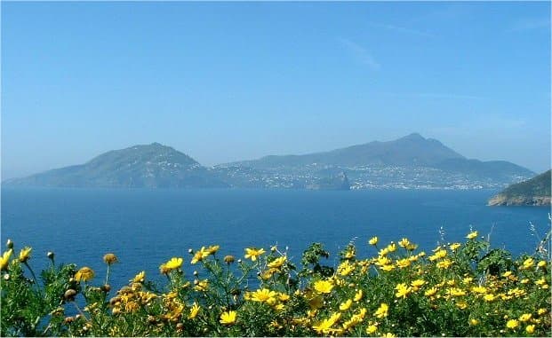 I giardini termali di Ischia — quali scegliere